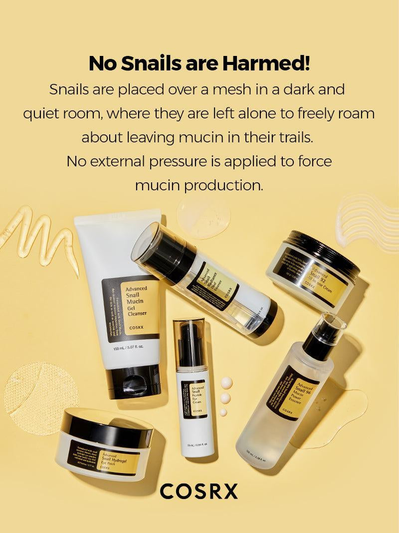 ALL about SNAIL KIT 4-Step